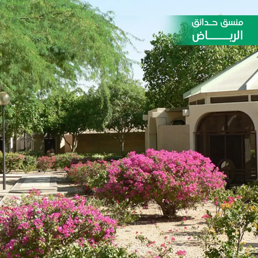 تنسيق حدائق
