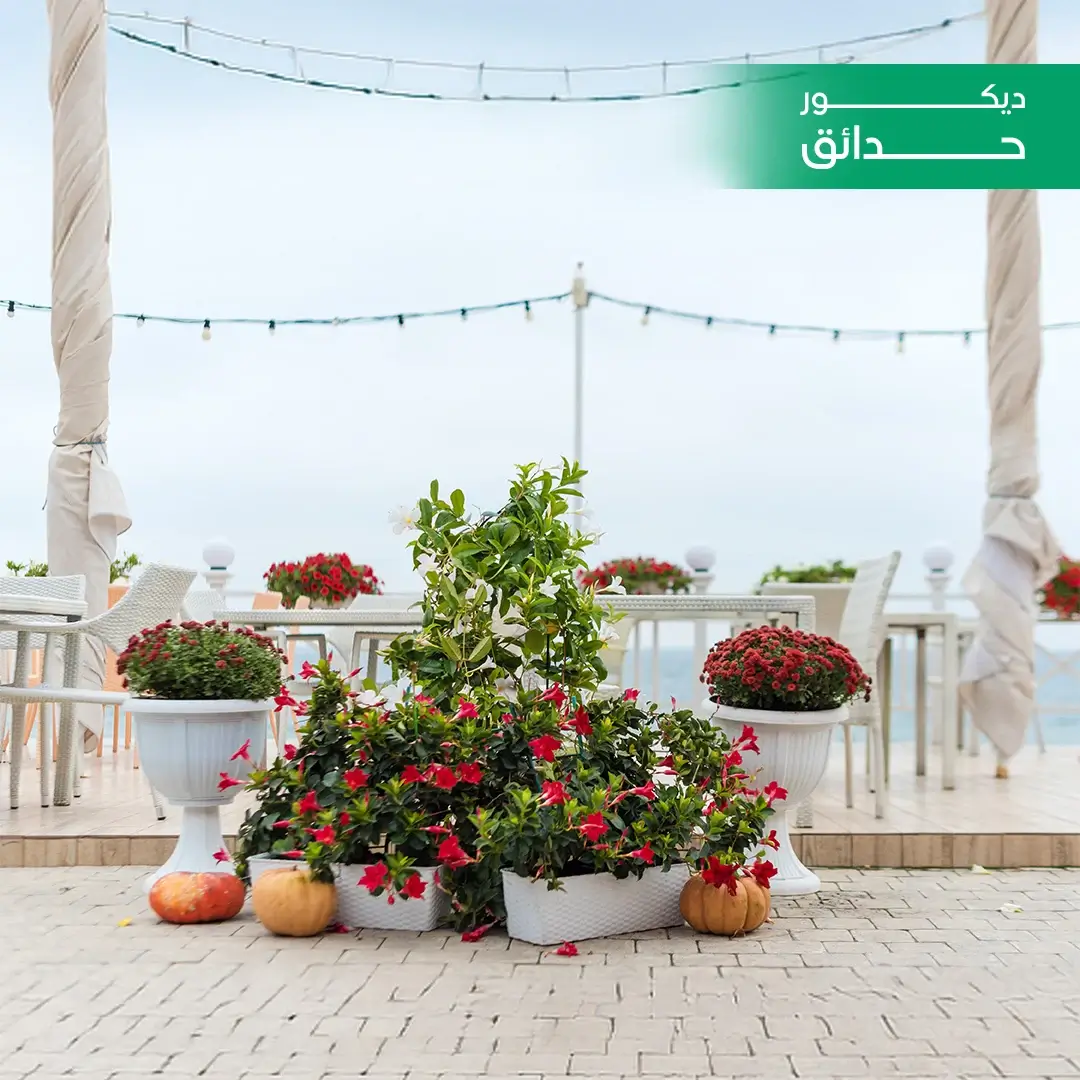 ديكورات حدائق بالحجر