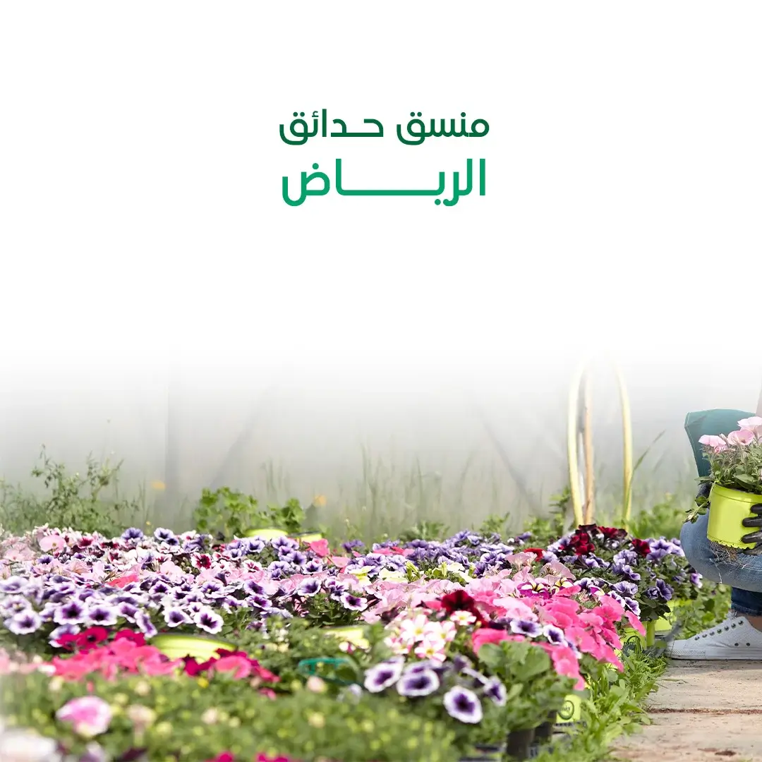 منسق حدائق الرياض