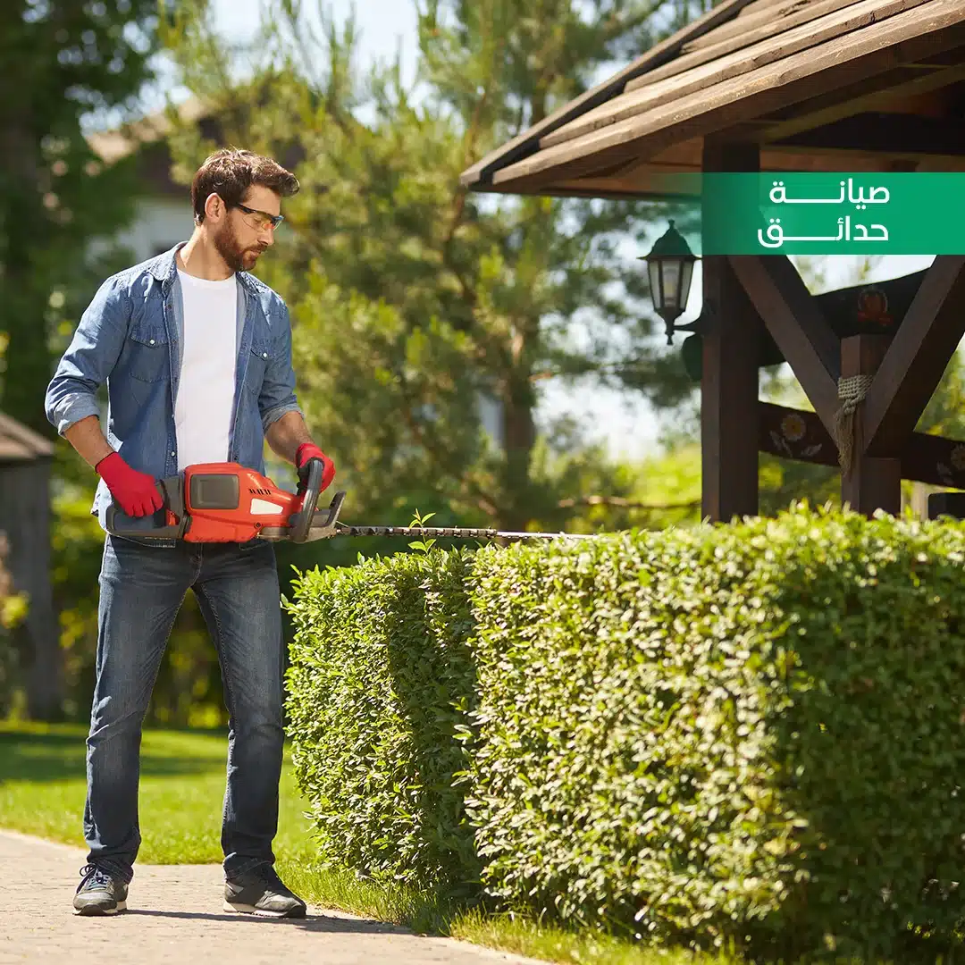 شركة صيانة حدائق
