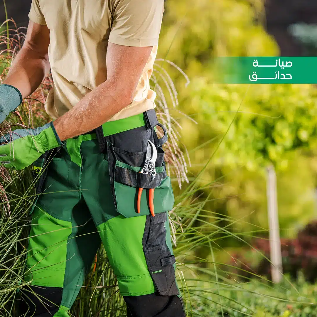 صيانة حدائق الرياض