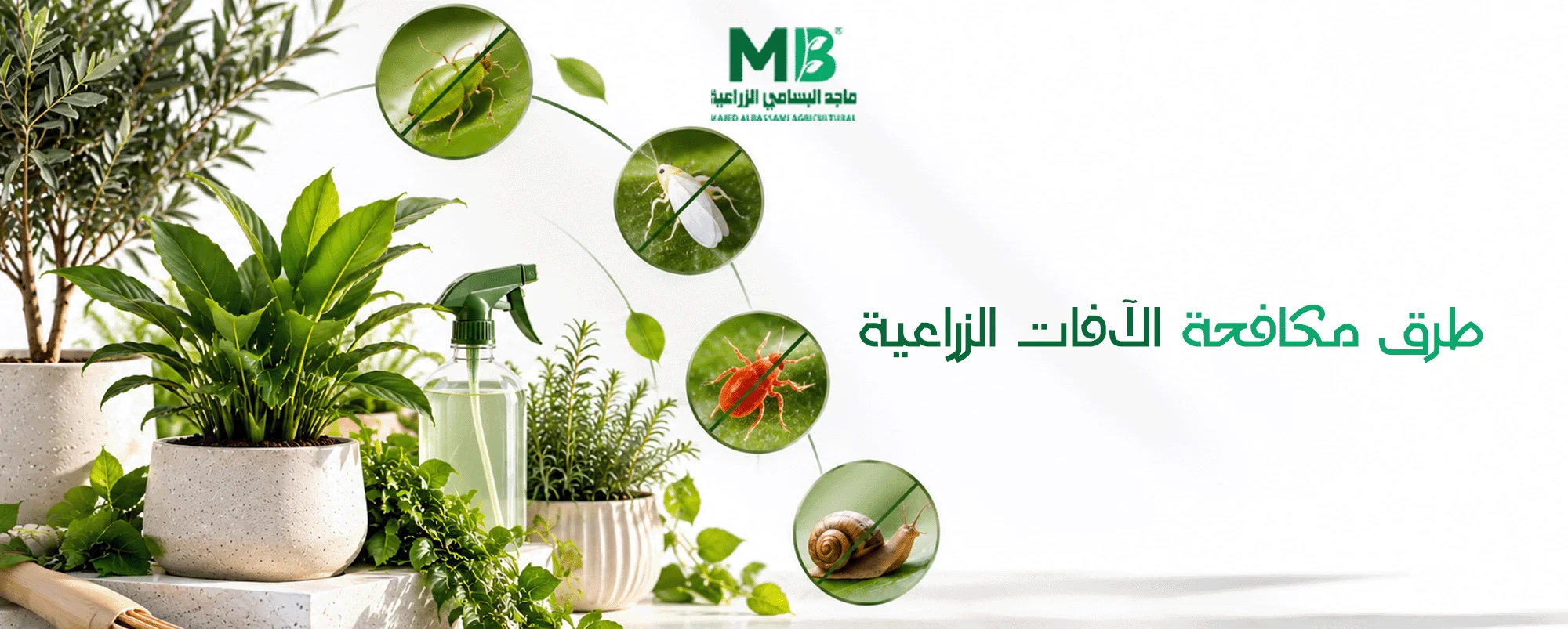 حماية النباتات من الافات الزراعية