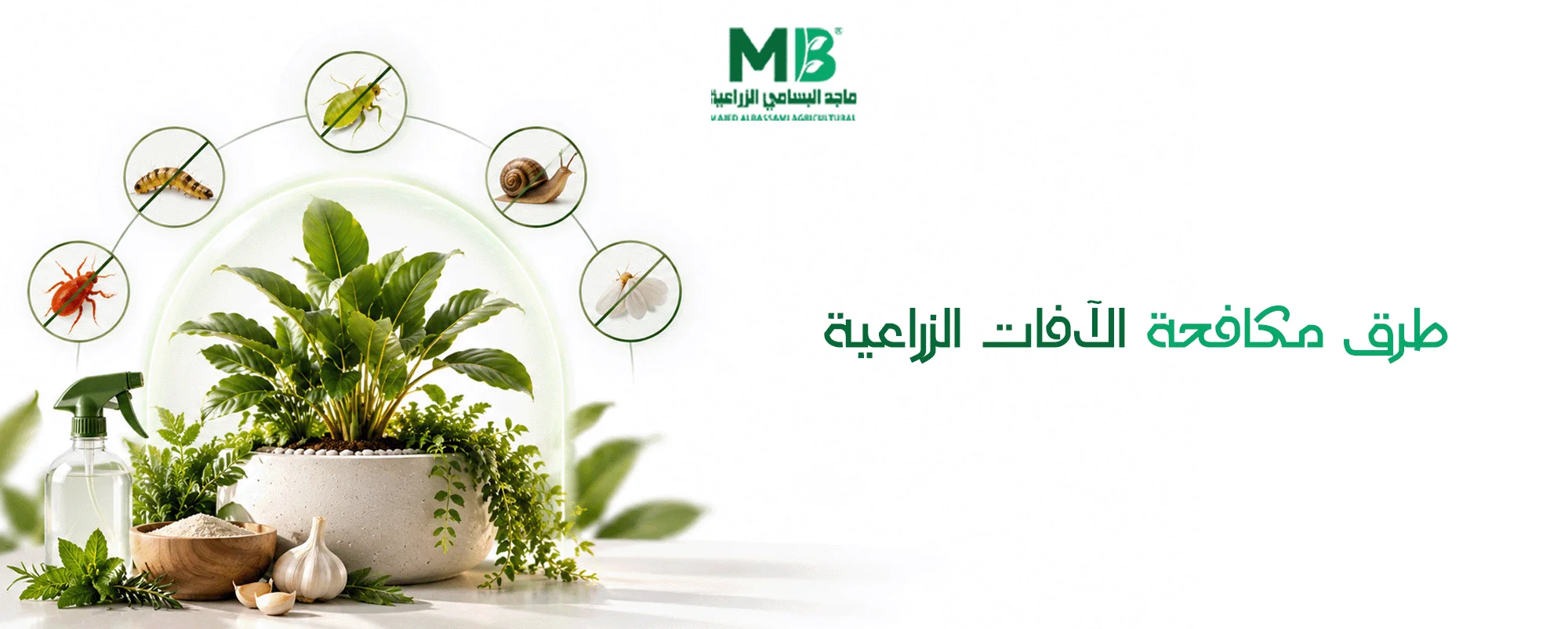 حماية النباتات