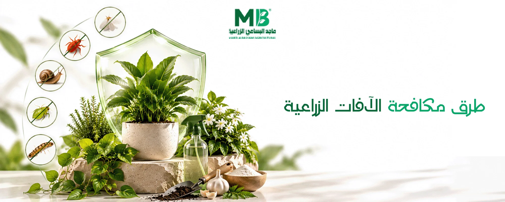 طرق حماية النباتات